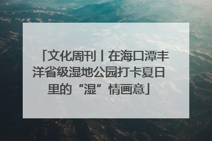 文化周刊丨在海口潭丰洋省级湿地公园打卡夏日里的“湿”情画意