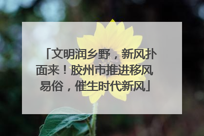 文明润乡野，新风扑面来！胶州市推进移风易俗，催生时代新风