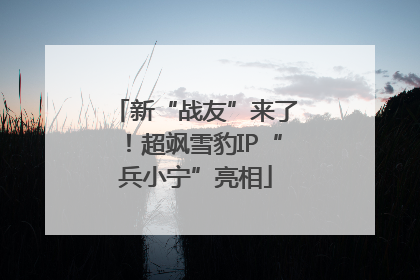 新“战友”来了！超飒雪豹IP“兵小宁”亮相