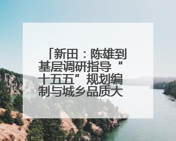 新田：陈雄到基层调研指导“十五五”规划编制与城乡品质大提升工作