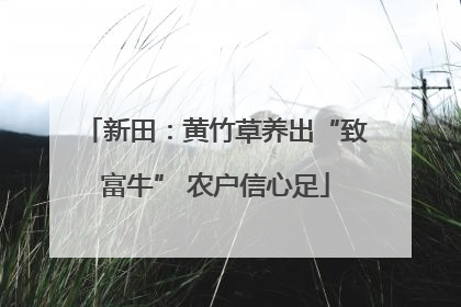 新田：黄竹草养出“致富牛” 农户信心足