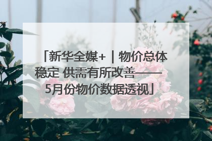 新华全媒+｜物价总体稳定 供需有所改善——5月份物价数据透视