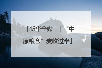 新华全媒+丨“中原粮仓”麦收过半