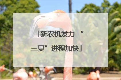新农机发力 “三夏”进程加快