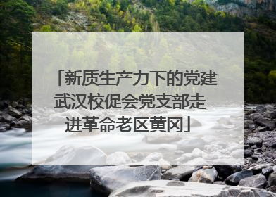 新质生产力下的党建 武汉校促会党支部走进革命老区黄冈