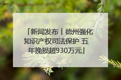 新闻发布丨德州强化知识产权司法保护 五年挽损超930万元