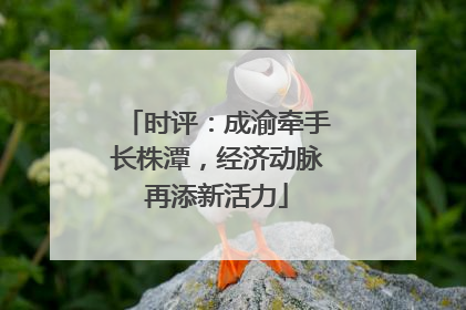 时评：成渝牵手长株潭，经济动脉再添新活力