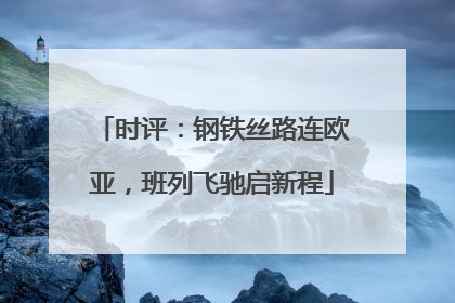 时评：钢铁丝路连欧亚，班列飞驰启新程