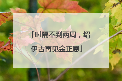 时隔不到两周，绍伊古再见金正恩