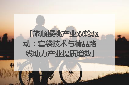 旅顺樱桃产业双轮驱动：套袋技术与精品路线助力产业提质增效