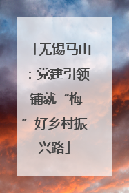 无锡马山：党建引领 铺就“梅”好乡村振兴路