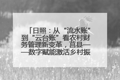 日照：从“流水账”到“云台账”看农村财务管理新变革，莒县——数字赋能激活乡村振兴“一池春水”