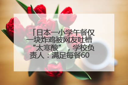日本一小学午餐仅一块炸鸡被网友吐槽“太寒酸”，学校负责人：满足每餐600千卡的标准