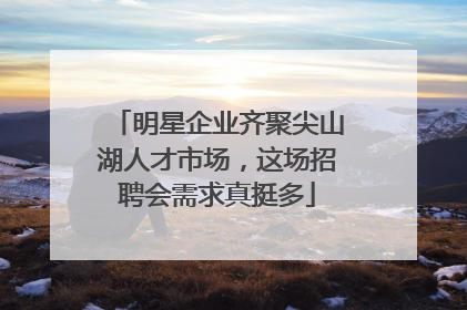 明星企业齐聚尖山湖人才市场，这场招聘会需求真挺多