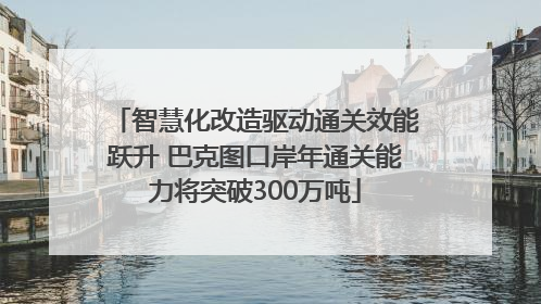 智慧化改造驱动通关效能跃升 巴克图口岸年通关能力将突破300万吨