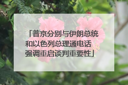 普京分别与伊朗总统和以色列总理通电话 强调重启谈判重要性