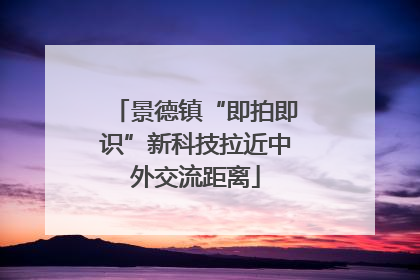 景德镇“即拍即识”新科技拉近中外交流距离