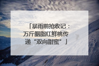 暴雨前抢收记：万斤胭脂红鲜桃传递“双向甜蜜”