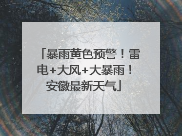 暴雨黄色预警！雷电+大风+大暴雨！安徽最新天气