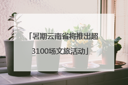 暑期云南省将推出超3100场文旅活动
