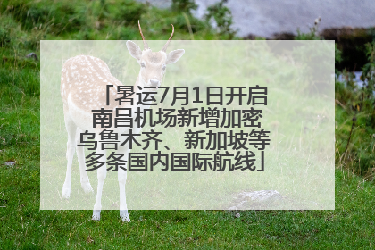 暑运7月1日开启 南昌机场新增加密乌鲁木齐、新加坡等多条国内国际航线