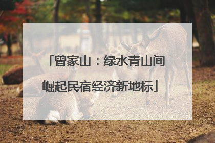 曾家山：绿水青山间崛起民宿经济新地标