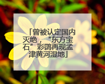 曾被认定国内灭绝，“东方宝石”彩鹮再现孟津黄河湿地