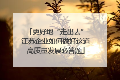 更好地“走出去” 江苏企业如何做好这道高质量发展必答题