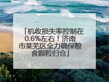 机收损失率控制在0.6%左右！济南市莱芜区全力确保粮食颗粒归仓