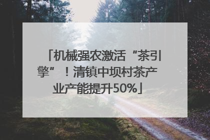 机械强农激活“茶引擎”！清镇中坝村茶产业产能提升50%