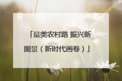 最美农村路 振兴新图景（新时代画卷）