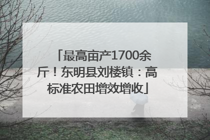 最高亩产1700余斤！东明县刘楼镇：高标准农田增效增收