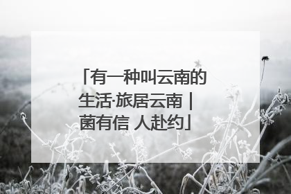 有一种叫云南的生活·旅居云南｜菌有信 人赴约