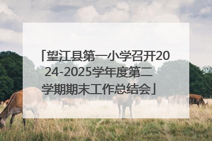 望江县第一小学召开2024-2025学年度第二学期期末工作总结会