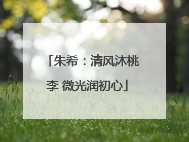 朱希：清风沐桃李 微光润初心