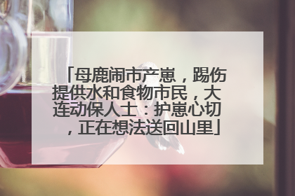 母鹿闹市产崽，踢伤提供水和食物市民，大连动保人士：护崽心切，正在想法送回山里