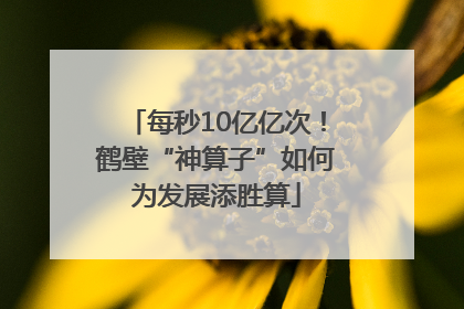 每秒10亿亿次！鹤壁“神算子”如何为发展添胜算