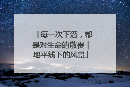 每一次下潜，都是对生命的敬畏｜地平线下的风景