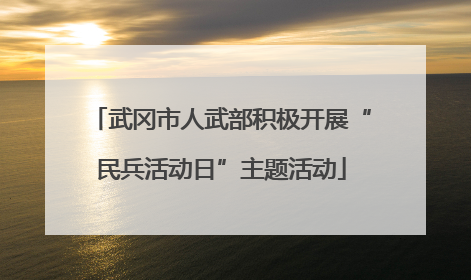 武冈市人武部积极开展“民兵活动日”主题活动