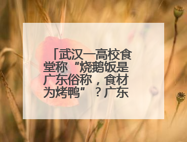 武汉一高校食堂称“烧鹅饭是广东俗称，食材为烤鸭”？广东多家烧鹅店：鸭是鸭鹅是鹅
