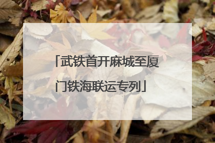 武铁首开麻城至厦门铁海联运专列
