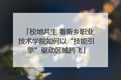 校地共生 看新乡职业技术学院如何以“技能引擎”驱动区域腾飞