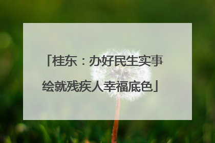 桂东：办好民生实事 绘就残疾人幸福底色