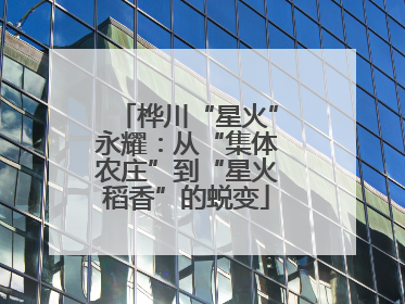 桦川“星火”永耀：从“集体农庄”到“星火稻香”的蜕变