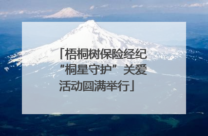 梧桐树保险经纪“桐星守护”关爱活动圆满举行