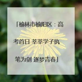 榆林市榆阳区：高考首日 莘莘学子执笔为剑 逐梦青春