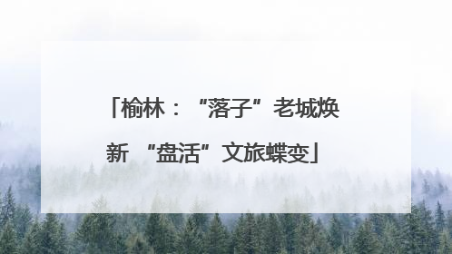 榆林：“落子”老城焕新 “盘活”文旅蝶变
