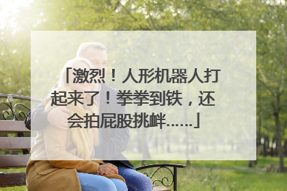 激烈！人形机器人打起来了！拳拳到铁，还会拍屁股挑衅……