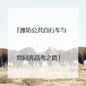 潍坊公共自行车与您同奔高考之路