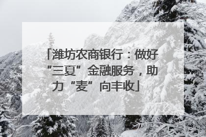 潍坊农商银行：做好“三夏”金融服务，助力“麦”向丰收